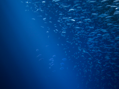 从百米浅海到万米深海，关于潜水器，这些事情你必须知道