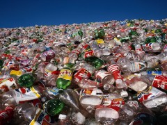 这是耐克、阿迪抢着要的废弃塑料瓶，它的身后是3000亿的市场