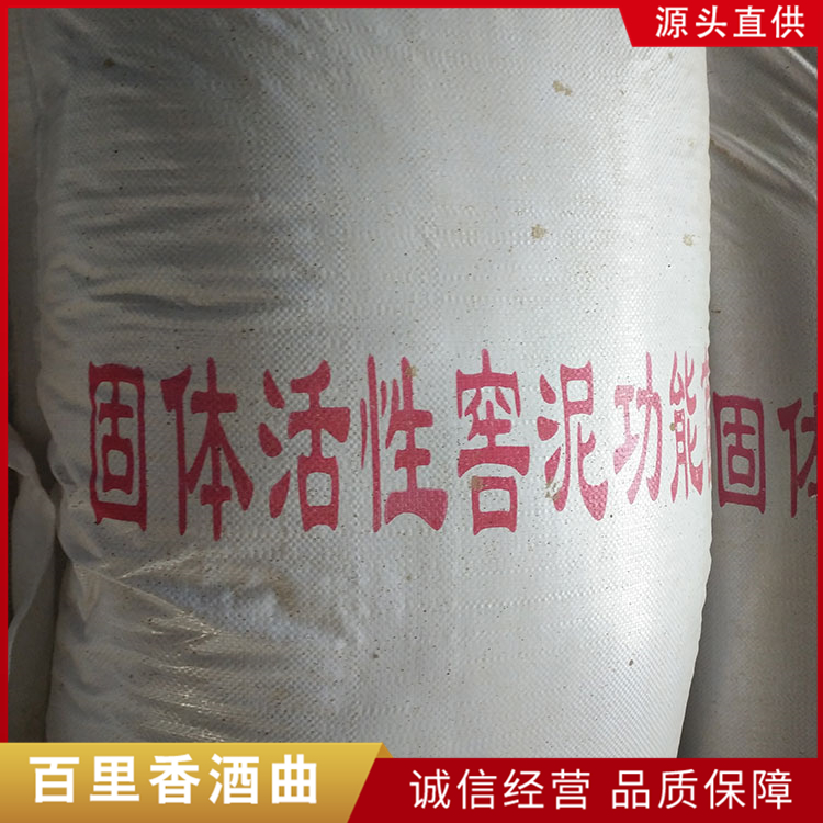 窖泥菌