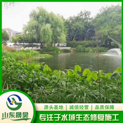 喷泉景观图3
