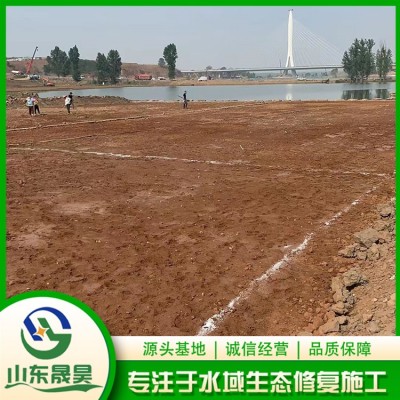 种植苦草图2