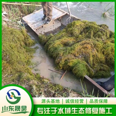 茨藻图5