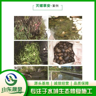 案例图3