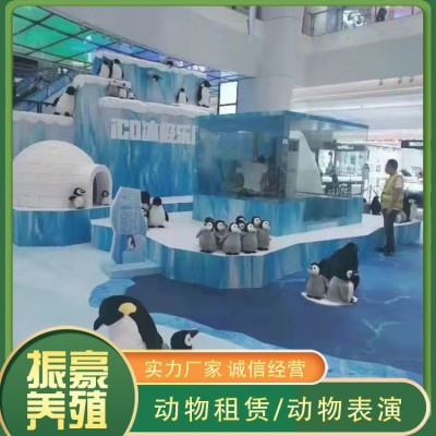 海洋生物展图5