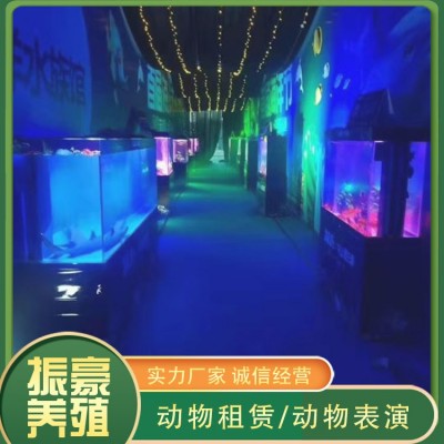 海洋生物展图4