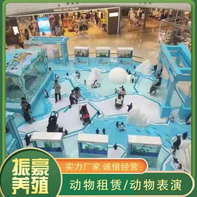 海洋生物展图2