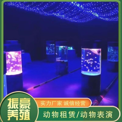 海洋生物展图3