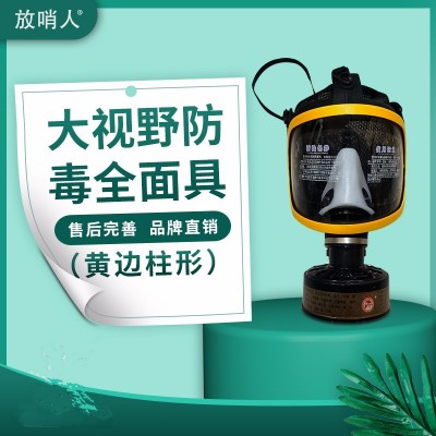 诺安NAMJ01球形滤盒防毒全面具 全面型呼吸防护器图2