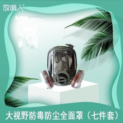 诺安NAMJ01球形滤盒防毒全面具 全面型呼吸防护器图3