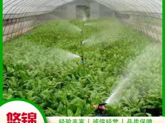 蔬菜大棚使用高压喷雾系统的优越性