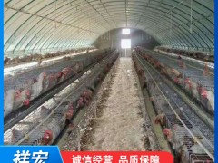 养殖大棚产品介绍