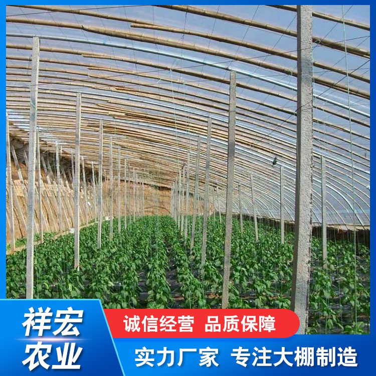 蔬菜大棚价格