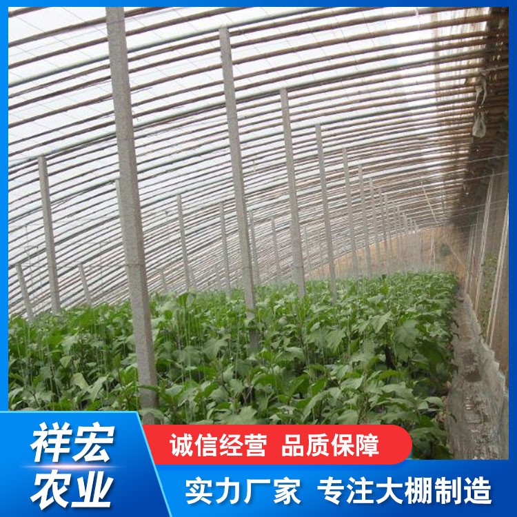 温室大棚