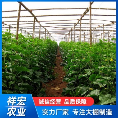 草莓种植大棚图4