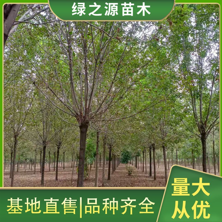 白腊
