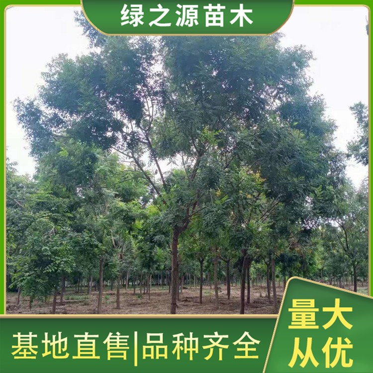 北栾