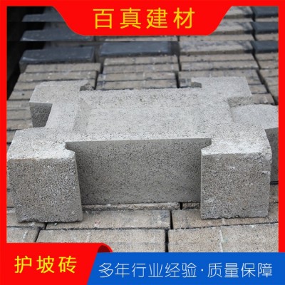 护坡砖图6