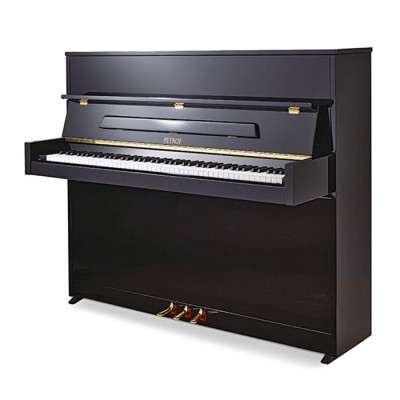 P 118 S1-小型立式钢琴