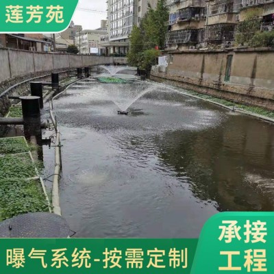 广东顺德大良河曝气安装图2