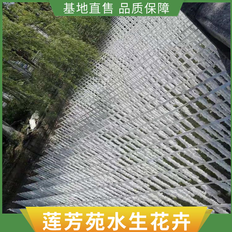 6江苏海虞生态水草安装