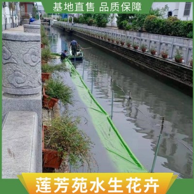 江苏海虞生态水草安装图4