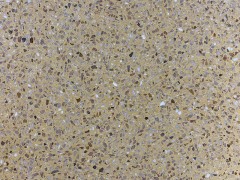 水磨石地板砖的优势有哪些？