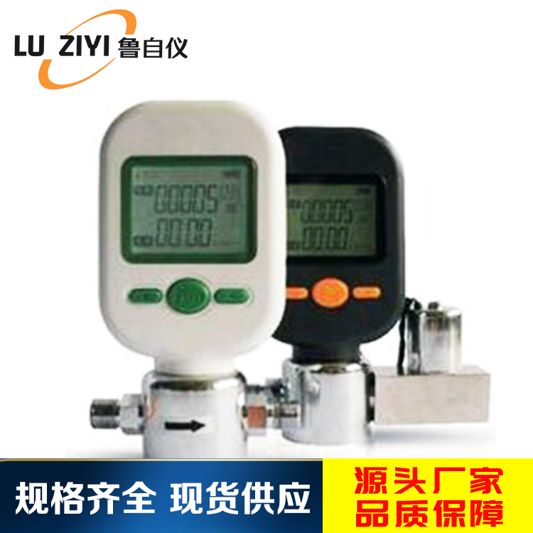气体质量流量计