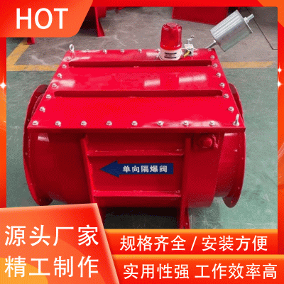 隔爆阀图4