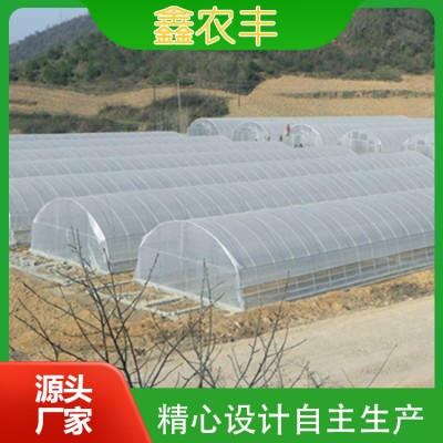 单体简易温室图2