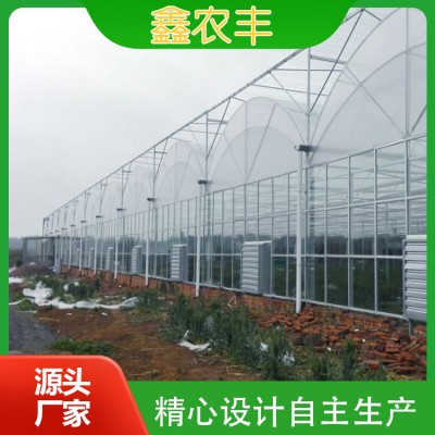 连栋薄膜温室图2