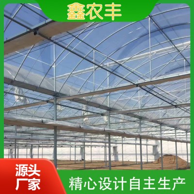 连栋薄膜温室图3