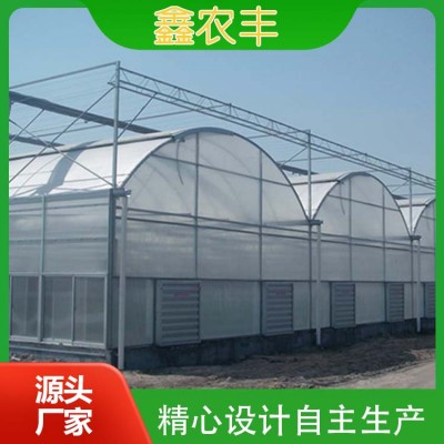 连栋薄膜温室图4
