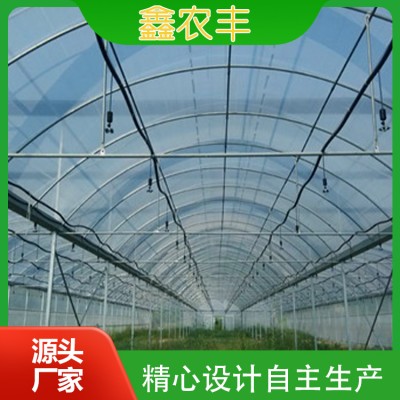 连栋薄膜温室图5