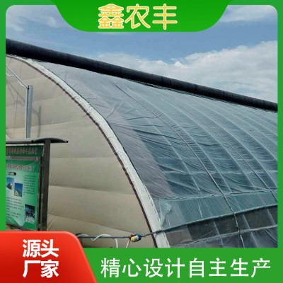 日光温室图2
