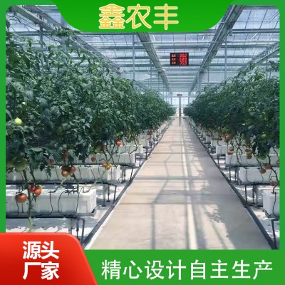 无土栽培图2