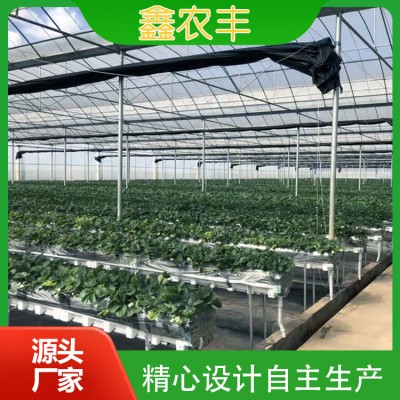 无土栽培图5