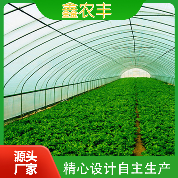 蔬菜大棚