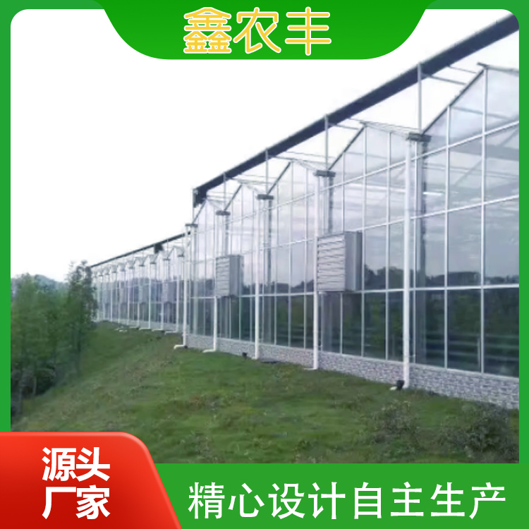 连栋智能温室大棚