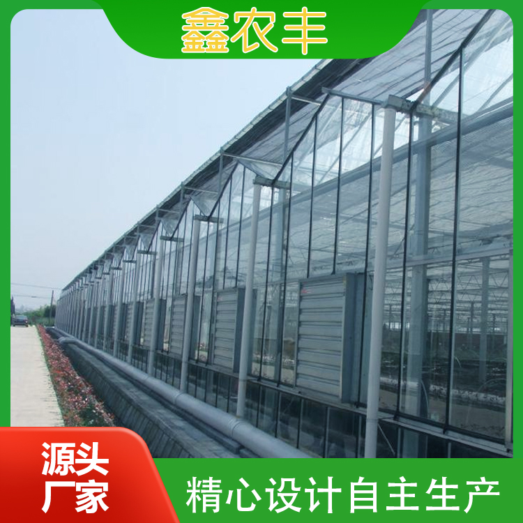 阳光板智能温室大棚