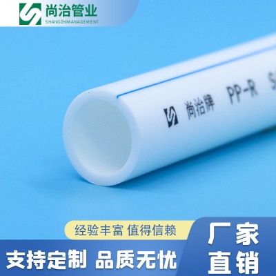 PPRBNFβ-PPR管图2