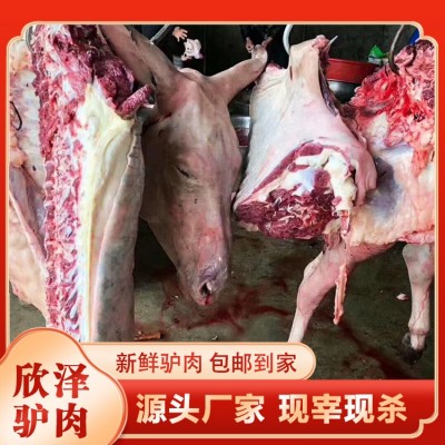 新鲜带骨驴肉图4