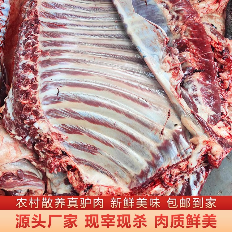 新鲜驴肋排 现宰现发 冷链直达