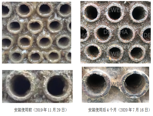 微信截图_20220808112931