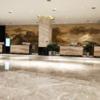 墙体彩绘-酒店项目系列