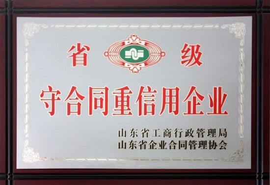公司荣誉13