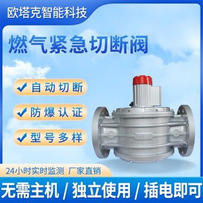 燃气紧急切断阀图4