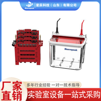 电泳设备 电泳仪 电泳槽图3