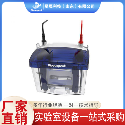 电泳设备 电泳仪 电泳槽图2