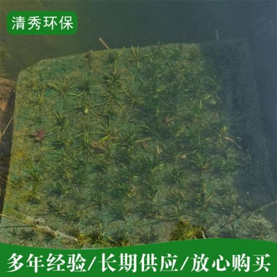 植物纤维生态沉床图2