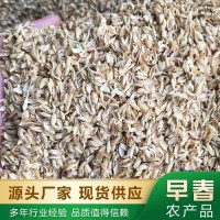 酒厂稻壳！养殖稻壳！绿化稻壳！种植稻壳！酿造稻壳！保温稻壳